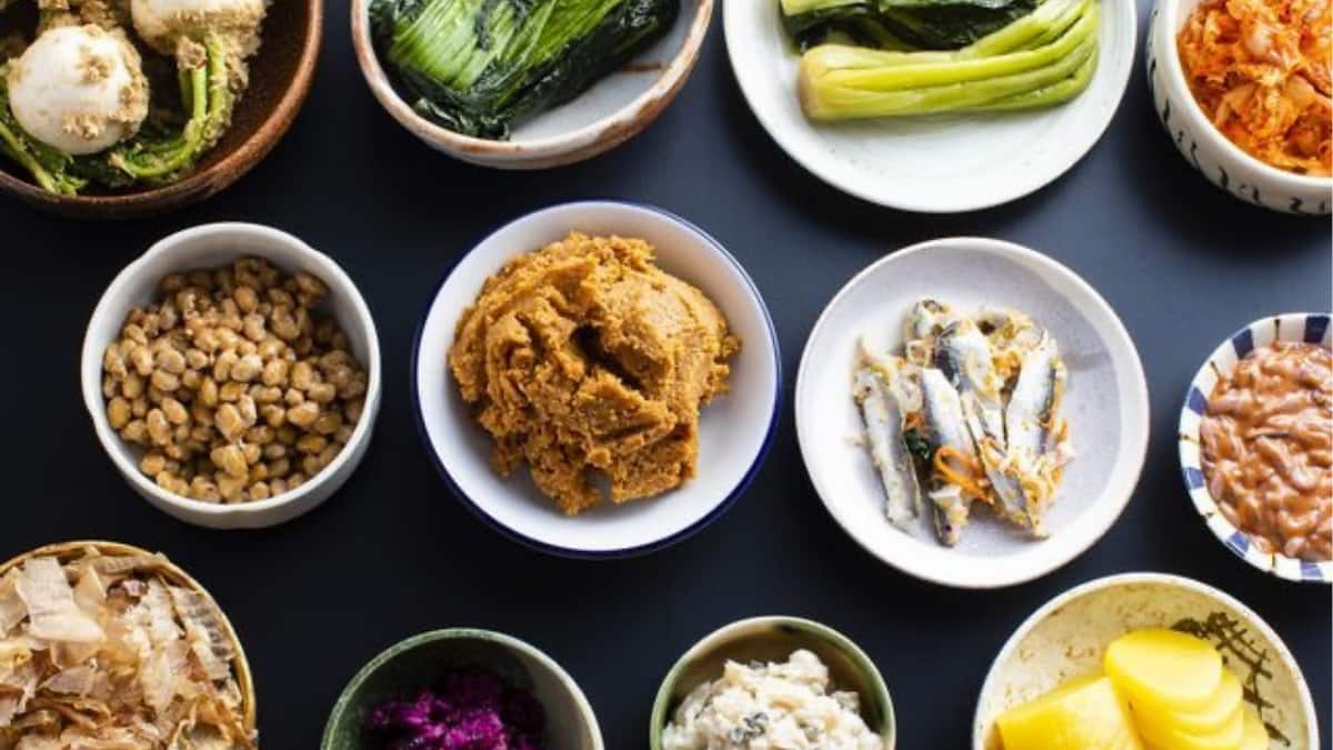 Gut Health Becomes A Priority With The Rise Of Probiotic Diets