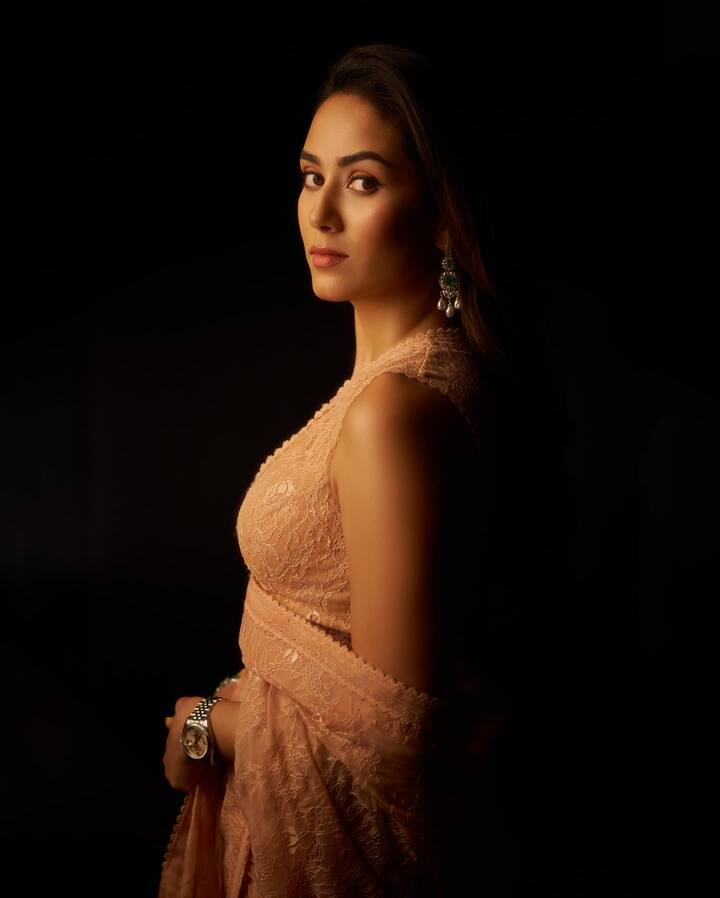 पण मीरा चाहत्यांना फॅशन गोल्स देखील देत असते.