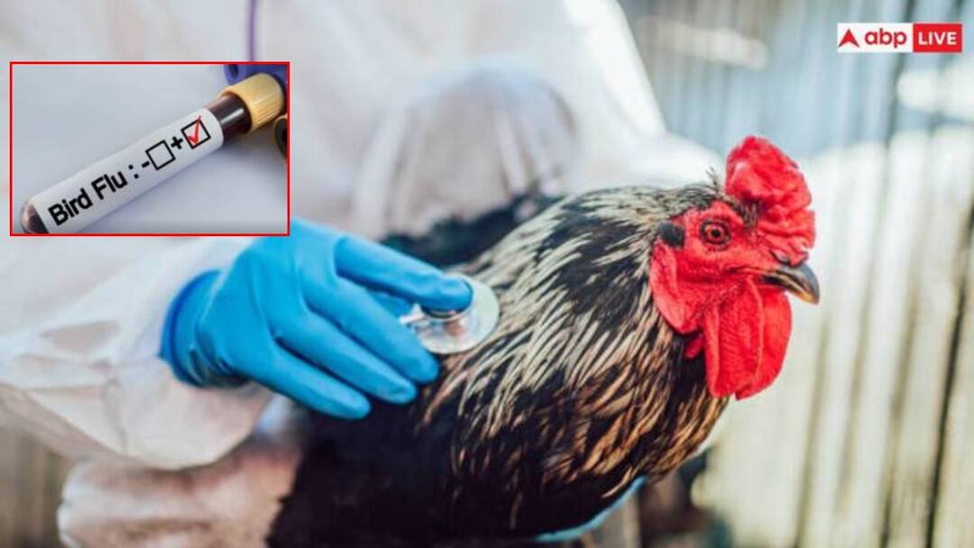 After 56 Days Of Closure Due To Bird Flu Scare Zoos In Gorakhpur And Kanpur Reopen After 56 Days Of Closure Due To Bird Flu Scare, Zoos In Gorakhpur And Kanpur Reopen