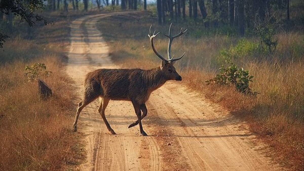 (Image Source: Pinterest/flickr)