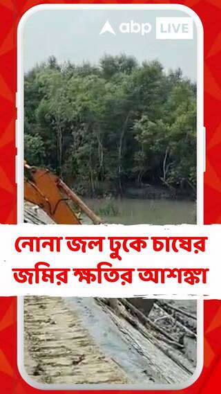 নোনা জল ঢুকে চাষের জমির ক্ষতির আশঙ্কা সুন্দরবনের গোসাবায়