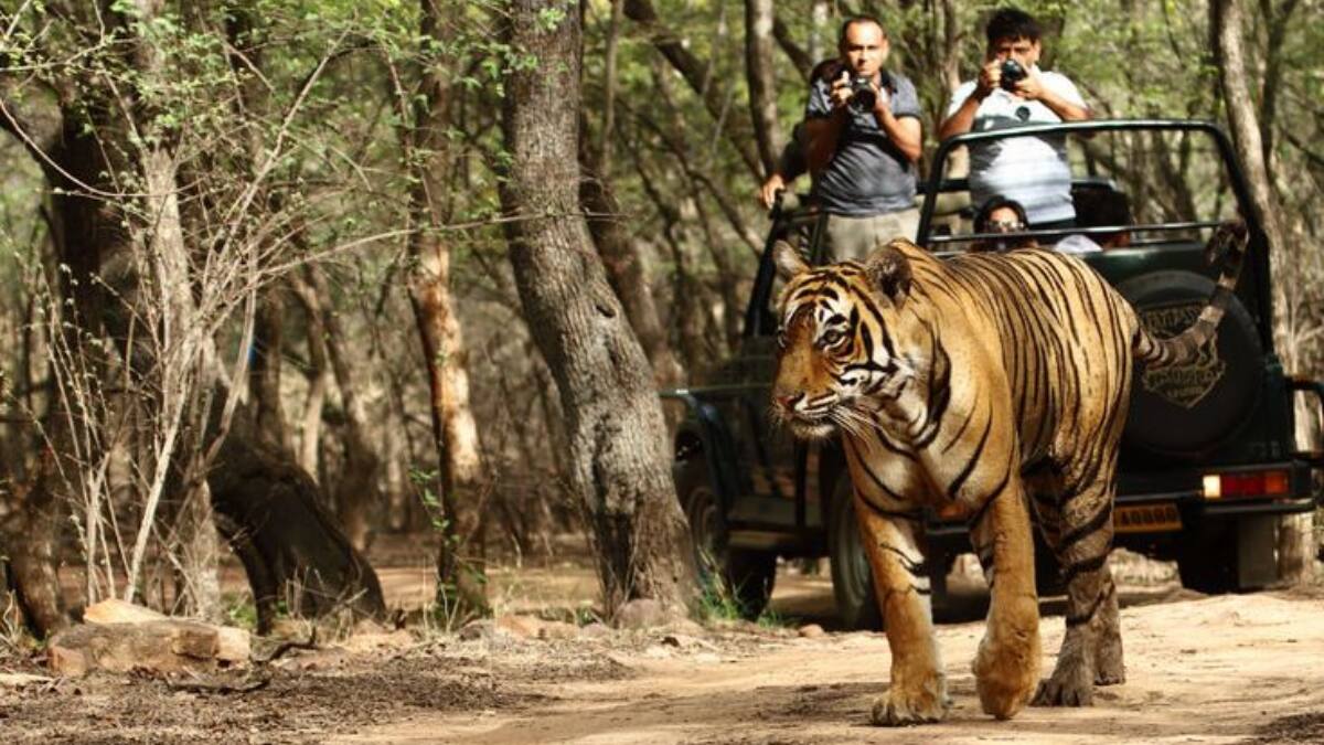 (Image Source: Pinterest/unlockholidays)