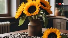 Health Tips: હાર્ટ હોય કે બ્રેન, સ્વાસ્થ્ય માટે ખૂબ જ ફાયદાકારક છે આ ફૂલના બીજ