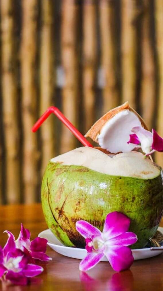 కొబ్బరి నీళ్లు రోజుకు ఎన్ని తాగాలి? ఎప్పుడు తాగితే మంచిదో తెలుసా?