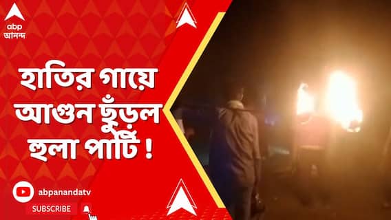 জঙ্গলে ফেরানোর নামে হাতির গায়ে আগুন ছুঁড়ল হুলা পার্টি!