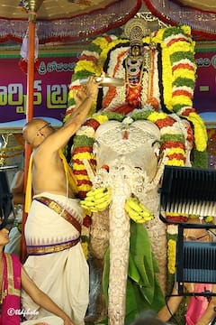Gaja Vahana Seva: గజవాహనంపై శ్రీ కోదండరామస్వామి అభయం - దర్శించుకున్నవారికి రాజభోగం!