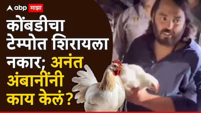 Anant Ambani Chicken News: देशातील सर्वात श्रीमंत उद्योगपती मुकेश अंबानी यांचे पुत्र अनंत अंबानी सध्या चर्चेत आहेत.