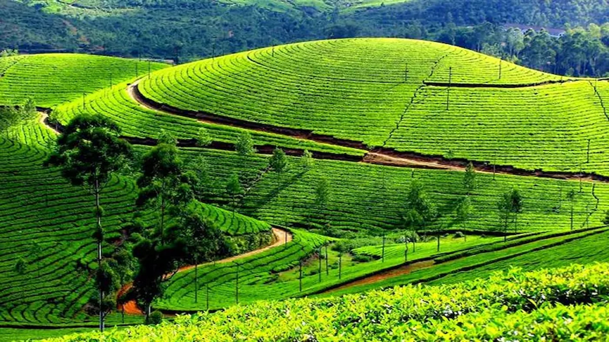 Theni: இயற்கை எழில் கொஞ்சும் சுற்றுலா தலங்கள் தேனியில்..! ஒருமுறையாவது சென்று வாருங்கள்..!