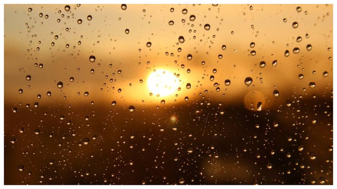 Disaster Management Department has announced that thunderstorms will occur in several districts of Andhra Pradesh Andhra Pradesh Weather: ఆంధ్రప్రదేశ్‌లో ఈ ప్రాంతాల్లో పిడుగుల వర్షం- వాతావరణ శాఖ తీవ్ర హెచ్చరిక 