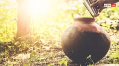 Vastu Tips: शुरू होने वाली है गर्मी, घर ला रहे मटका तो जान लें रखने की उचित दिशा