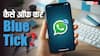WhatsApp में ब्लू टिक कैसे होगा ऑफ? तीन सिंपल स्टेप्स में जानें पूरा प्रोसेस