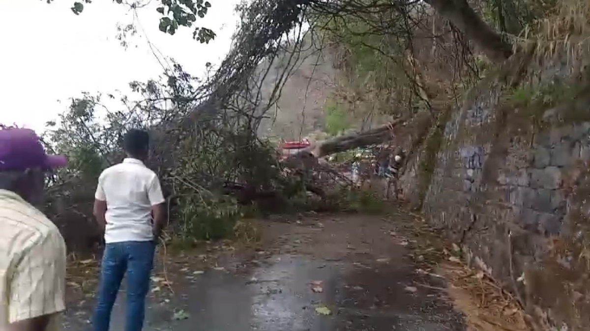 ஏற்காட்டில் கனமழை... மலைப்பாதையில் விழுந்து ராட்சத மரம்... போக்குவரத்து பாதிப்பு