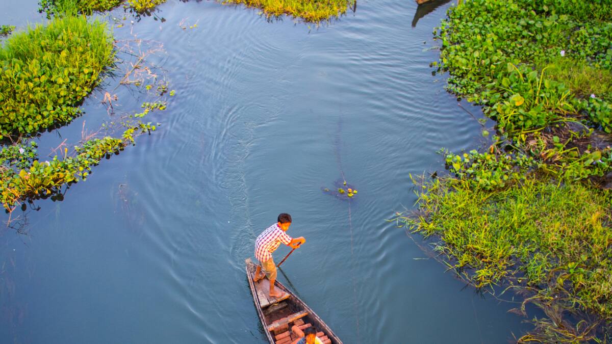 (Image Source: Canva)