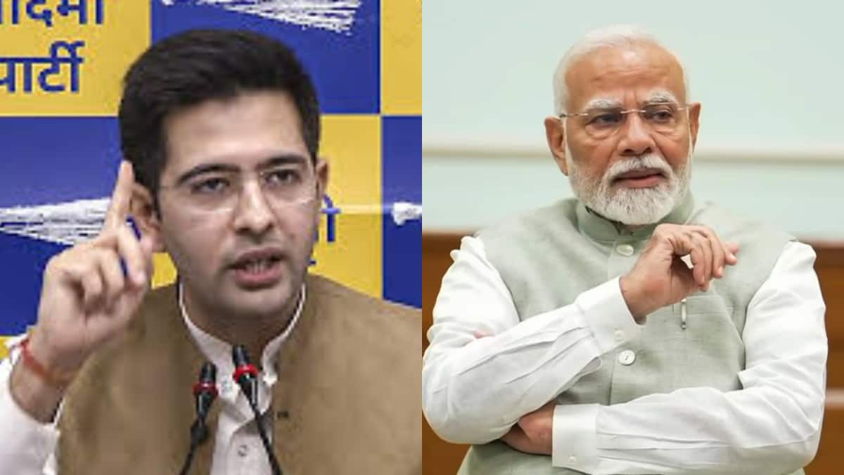 'यार ने ही लूट लिया घर यार का', ट्रंप के 26 परसेंट टैरिफ पर राघव चड्ढा बोले- 'लाल कालीन बिछाई लेकिन...'