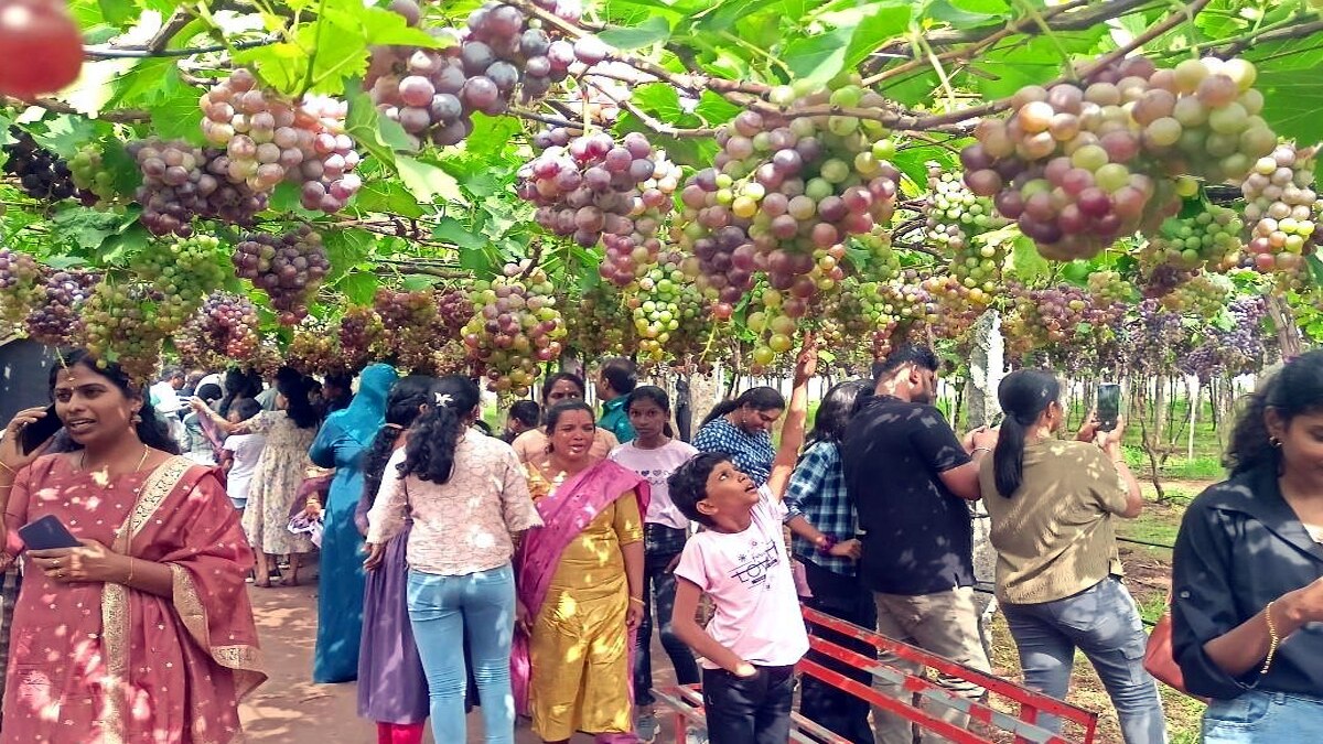 Theni: இயற்கை எழில் கொஞ்சும் சுற்றுலா தலங்கள் தேனியில்..! ஒருமுறையாவது சென்று வாருங்கள்..!