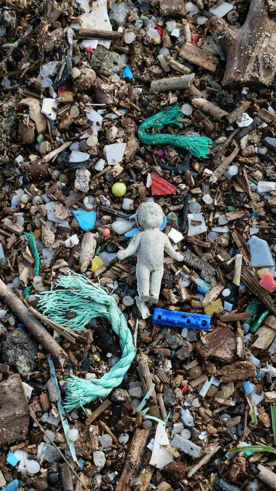 इन चीजों से आपके शरीर में जा रहा है माइक्रोप्लास्टिक