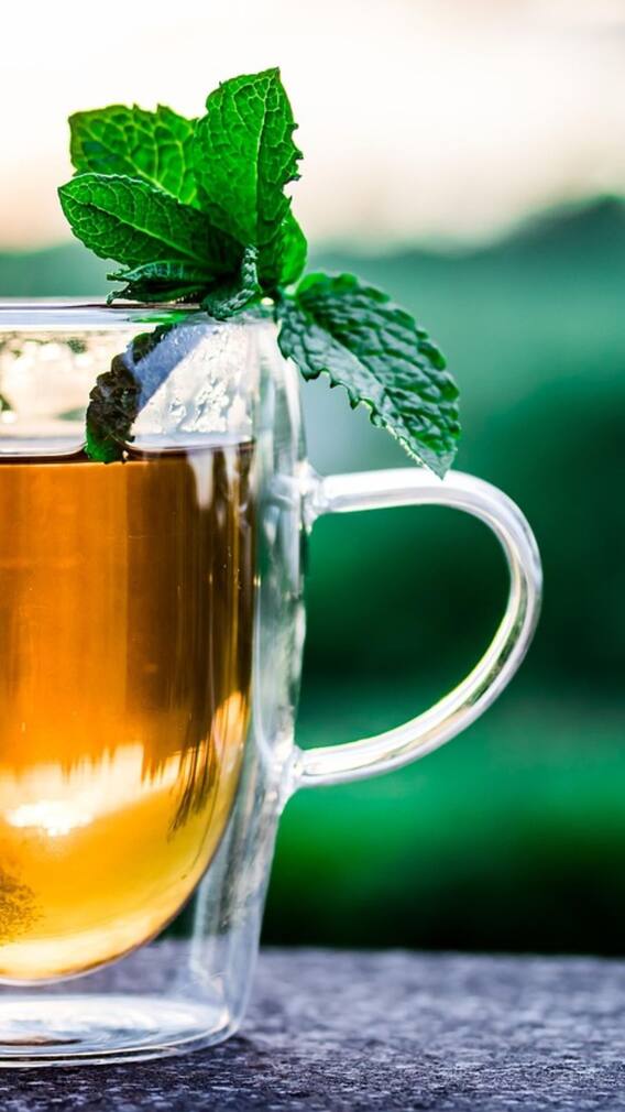 పుదీనాను సమ్మర్​లో తీసుకుంటే కలిగే లాభాలివే