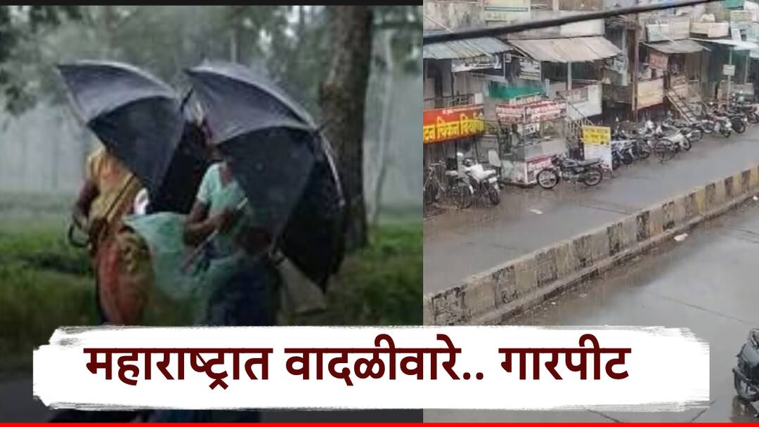 Storms and Unseasonal Rains Hit Maharashtra Two Farm Laborers Dead Orchards Destroyed Livestock Affected Whats the Situation महाराष्ट्रात वादळवारे...गारांसह अवकाळी पाऊस; दोन शेतमजूरांचा मृत्यू, फळबागा कोलमडल्या, जनावरं होरपळली, कुठे काय स्थिती?