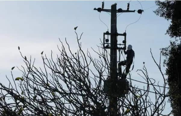 ਸੁਲਤਾਨਪੁਰ ਲੋਧੀ: ਬਿਜਲੀ ਬੰਦ ਰਹੇਗੀ ਸੁਲਤਾਨਪੁਰ ਲੋਧੀ (ਸੋਢੀ) : ਸੁਲਤਾਨਪੁਰ ਲੋਧੀ ਦੇ ਐੱਸ.ਡੀ.ਓ. ਇੰਜੀ. ਕੁਲਵਿੰਦਰ ਸਿੰਘ ਸੰਧੂ ਨੇ ਦੱਸਿਆ ਕਿ 66 ਕੇ.ਵੀ. ਤਲਵੰਡੀ ਮਾਧੋ ਗਰਿੱਡ 11 ਕੇ.ਵੀ. 'ਤੇ ਚੱਲਣ ਵਾਲੇ ਸਾਰੇ ਘਰ ਅਤੇ ਮੋਟਰਾਂ। ਫੀਡਰ ਟਾਵਰਾਂ ਦੇ ਨਿਰਮਾਣ ਲਈ 4 ਅਪ੍ਰੈਲ, 2025 ਨੂੰ ਸਵੇਰੇ 9:00 ਵਜੇ ਤੋਂ ਸ਼ਾਮ 5:00 ਵਜੇ ਤੱਕ ਫੀਡਰ ਬੰਦ ਰਹੇਗਾ।