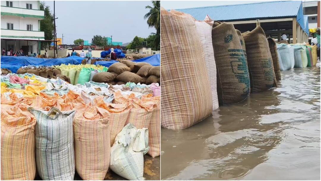 மழையில் நனைந்த 4 ஆயிரம் நெல் மூட்டைகள்; கண்ணீரில் மூழ்கிய விவசாயிகள்... கவனிக்குமா அரசு ?