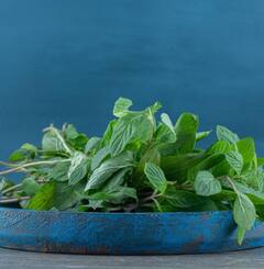 ਗਰਮੀਆਂ 'ਚ ਪੁਦੀਨੇ ਦੀ ਚਟਨੀ ਦਾ ਸੇਵਨ ਸਿਹਤ ਲਈ ਵਰਦਾਨ, ਜਾਣੋ ਮਿਲਣ ਵਾਲੇ ਫਾਇਦਿਆਂ ਬਾਰੇ