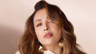 Malaika Arora: প্রাক্তন ক্রিকেটারের সঙ্গে প্রেমের গুঞ্জন, তার মধ্যেই ইঙ্গিতপূর্ণ বার্তা মালাইকার!