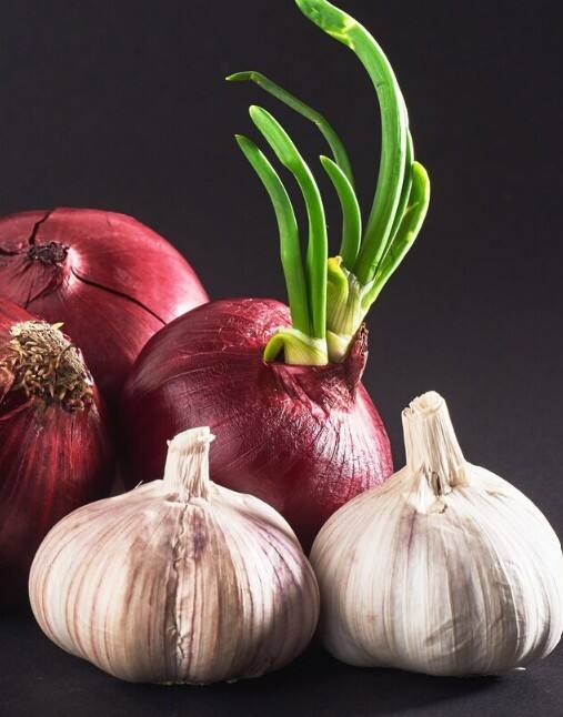 సమ్మర్​లో ఉల్లి, వెల్లుల్లి తింటే కలిగే లాభాలివే