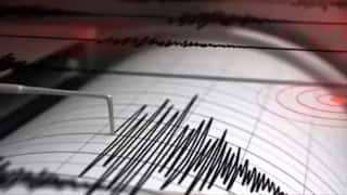 US Earthquake: અમેરિકામાં આવ્યો ભયાનક ભૂકંપ, પહાડ પરથી પડવા લાગ્યા પથ્થરો
