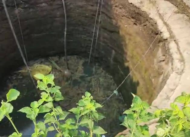 ट्रॅक्टरमध्ये नेमके किती जण होते याची माहिती अद्याप पुढे आलेली नाही.