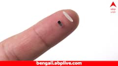 ছোট চালের দানার থেকেও ছোট্ট, বিশ্বের ক্ষুদ্রতম পেসমেকার ! কীভাবে কাজ করে ?