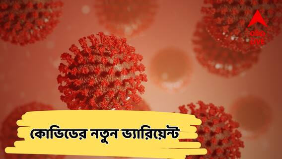 Covid-19 Virus : মহাদেশে মহাদেশে দ্রুত ছড়াচ্ছে কোভিডের নতুন ভ্যারিয়েন্ট! নতুন ত্রাস?