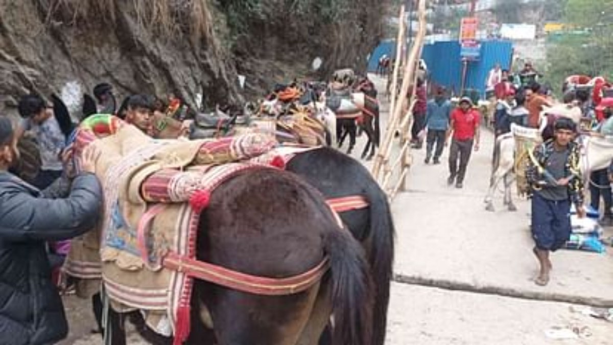 केदारनाथ यात्रा मार्ग पर एक्वाइन इन्फ्लूएंजा वायरस का खतरा, यूपी से आने वाले घोड़े-खच्चर पूरी तरह बैन