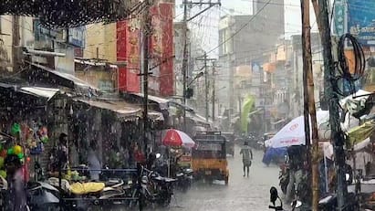 Theni people are happy with the sudden rain amidst the scorching sun tnn கொளுத்தும் வெயிலுக்கு இடையே திடீர் மழையால் தேனி மக்கள் மகிழ்ச்சி..!