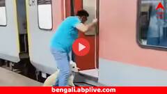 পোষ্যকে সঙ্গে নিয়ে চলন্ত ট্রেনে ওঠার চেষ্টা, ট্রেনের নিচেই চলে গেল আদরের পোষ্য ! তারপর ?