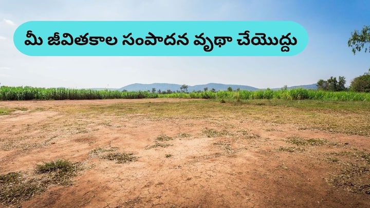 Dont waste your lifetime earnings when buying a plot check these things while buying a plot Plot Buying Tips: ప్లాట్ కొంటే లాభం ఉండాలిగానీ లాస్‌ రాకూడదు, ఈ విషయాలు చెక్‌ చేయండి