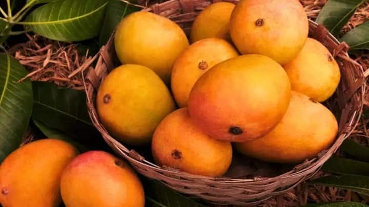 ગરમીમાં દરરોજ કરવું જોઈએ કેરીનું સેવન, Mango ના ફાયદા જાણી તમે પણ ચોંકશો