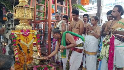 Panguni Uttara festival in Palani began with the hoisting of the flag tnn பழனியில் பங்குனி உத்திர திருவிழா கொடியேற்றத்துடன் துவங்கியது