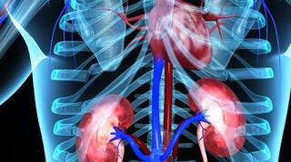 Kidney Damage Reasons: ਕਿਡਨੀ ਫੇਲ੍ਹ ਹੋਣ ਦੇ ਇਨ੍ਹਾਂ ਲੱਛਣਾਂ ਵੱਲ ਜ਼ਰੂਰ ਦਿਓ ਧਿਆਨ, ਕਿਧਰੇ ਮੌਤ ਨੂੰ ਤਾਂ ਨਹੀਂ ਦੇ ਰਹੇ ਬੁਲਾਵਾ