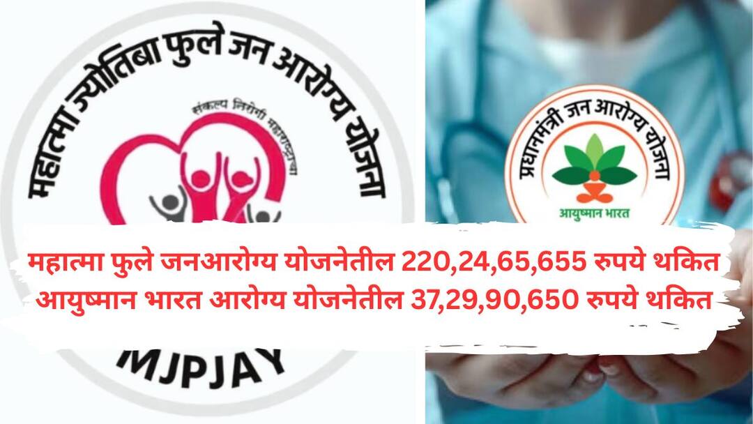 लाडक्या बहिणीच्या नादात राज्यात आरोग्य व्यवस्थेच्या चिंधड्या; राज्य सरकारकडून महात्मा फुले आणि आयुष्मान योजनेच्या संलग्न रुग्णालयांची 270 कोटींपेक्षा जास्त रक्कम थकीत More than 270 crores due from Mahatma Phule and Ayushman Yojana affiliated hospitals from the maharashtra mahayuti government लाडक्या बहिणीच्या नादात राज्यात आरोग्य व्यवस्थेच्या चिंधड्या; राज्य सरकारकडून महात्मा फुले आणि आयुष्मान योजनेच्या संलग्न रुग्णालयांची 270 कोटींपेक्षा जास्त रक्कम थकीत