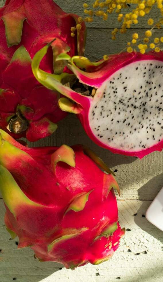 ड्रैगन फ्रूट से कैसे कर सकते हैं लाखों की कमाई?