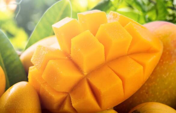 કેરી ખાવી સ્વાસ્થ્ય માટે ઘણી રીતે ફાયદાકારક છે. કેરી ખાવાથી શરીરને વિટામિન A, C અને E મળે છે અને તેમાં પોટેશિયમ અને મેગ્નેશિયમ પણ સારી માત્રામાં હોય છે જે સ્વાસ્થ્ય અને ત્વચાને સારી રાખે છે.