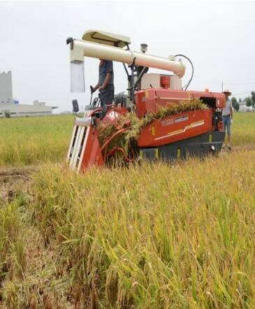 ਪੰਜਾਬ 'ਚ ਸ਼ਾਮ 7 ਵਜੇ ਤੋਂ ਬਾਅਦ ਇਨ੍ਹਾਂ ਕੰਮਾਂ 'ਤੇ ਲੱਗੀ ਪਾਬੰਦੀ, ਹੁਕਮ ਜਾਰੀ...