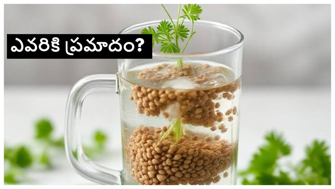 Coriander Water:కొత్తిమీర నీరు ఎవరు తాగితే ప్రమాదం- ఏం జరుగుతుంది? Coriander Water Benefits Side Effects Precautions and Who should not drink this Coriander Water:కొత్తిమీర నీరు ఎవరు తాగితే ప్రమాదం- ఏం జరుగుతుంది?