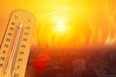 Gujarat Heatwave: આગામી બે દિવસ કચ્છમાં રેડ એલર્ટ, જાણી લો હવામાન વિભાગનું લેટેસ્ટ અપડેટ