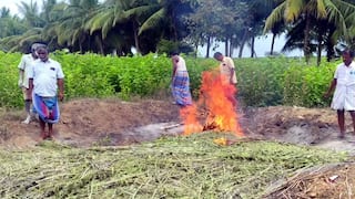 Farmers 4 crore loss in silkworm farming due to substandard silkworm eggs tnn தரமற்ற பட்டுப்புழு..தீ வைத்து எரித்த விவாசாயிகள்.. 4 கோடி நஷ்டம்..! விவசாயிகள் வேதனை..