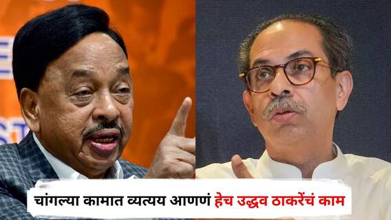 Narayan Rane on Uddhav Thackeray : शिव्या घालणं, चांगल्या कामात व्यत्यय आणणं हेच उद्धव ठाकरेंचं काम, म्हणून पक्ष आवळत चाललाय; नारायण राणेंचा घणाघात