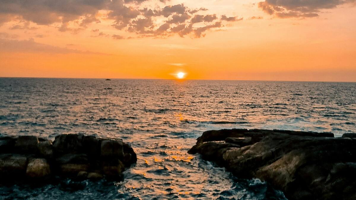 (Image Source: Canva)