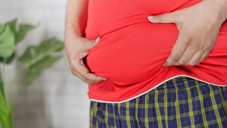 how to reduce your belly fat know some easy and effective ways and tips Belly Fat: বেলি ফ্যাট কমাতে রোজ কোন কোন কাজ আপনাকে করতেই হবে? রইল সহজ তালিকা