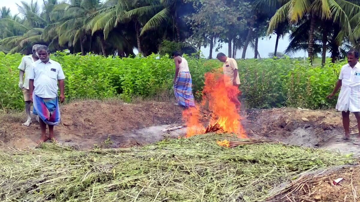 தரமற்ற பட்டுப்புழு..தீ வைத்து எரித்த விவாசாயிகள்.. 4 கோடி நஷ்டம்..! விவசாயிகள் வேதனை..