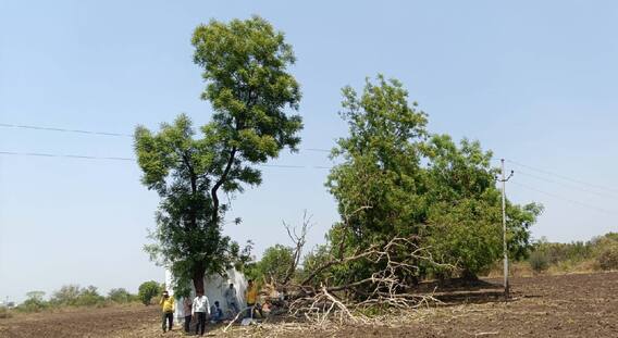 Wardha News : आईवडील देवाच्या दारी, मंदिर परिसरातच तीन वर्षांच्या चिमुकलीवर काळाचा घाला; अंगावर झाड पडून दुर्दैवी मृत्यू!